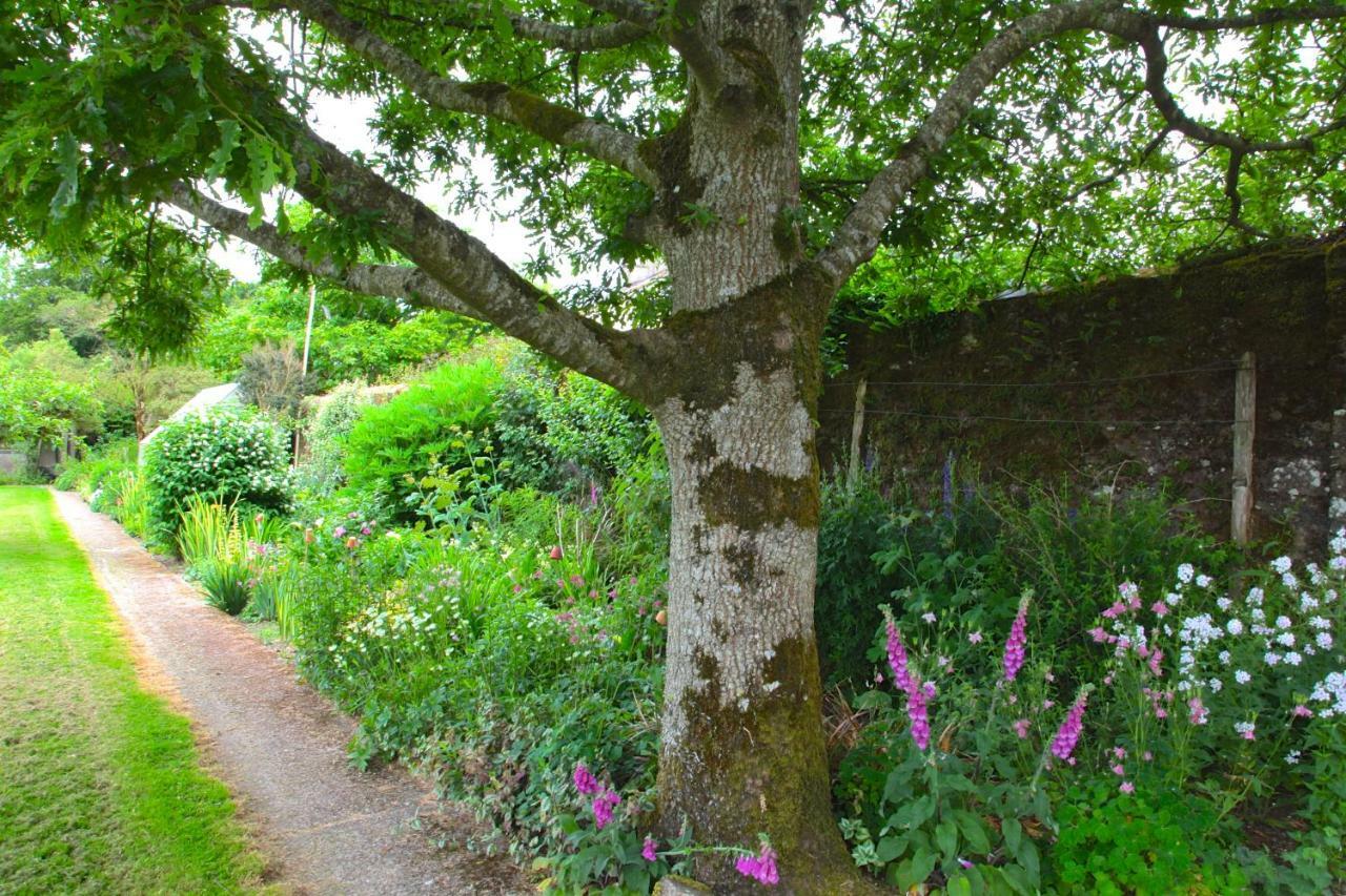Willowhill House Minane Bridge Zewnętrze zdjęcie